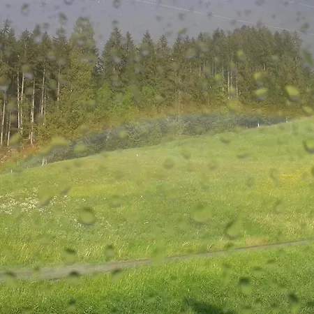 Haus Angela アパート